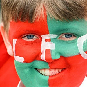Young Liverpool fan with his face painted in team colours