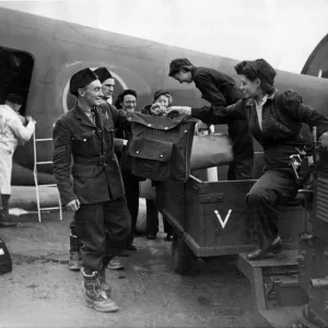 Young RAF air crews delivering a Liberator aircraft at Atlantic Terminal after flying Young RAF air crews delivering a Liberator aircraft at Atlantic Terminal after flying