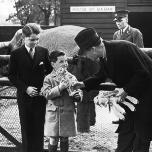 Young Robert (left) and Edward Kennedy, sons of the American Ambasador to Britain Joseph Young Robert (left) and Edward Kennedy, sons of the American Ambasador to Britain Joseph