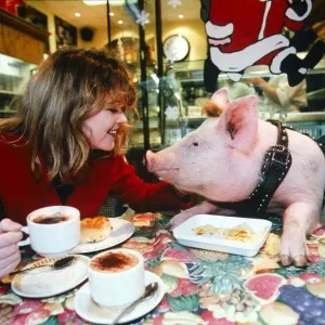 Young Women with Pig at Coffee Table - December 1995 girl at table