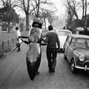 A Zarbi, from the Dr Who television serial (written by Bill Struttonwill)