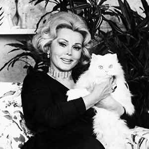 Zsa Zsa Gabor Actress sitting holding a white persian pussy cat dbase msi