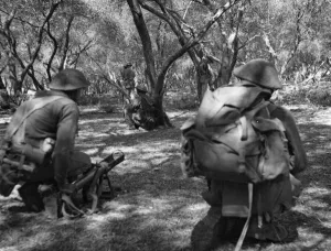 At 0015 hours on 29th July 1944, the newly formed Land Forces Adriatic