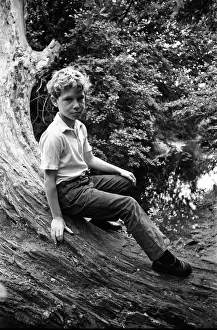 Tree Prints: 11-year-old John Domigan, of Bell Green, Coventry, after being rescued from a tree lying