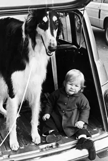 Toddler Prints: 14 month old Rachel Duckworth looks in awe at the family pet which just grew and grew