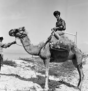 01511 Prints: 16 year old pop singer Helen Shapiro on holiday in Majorca