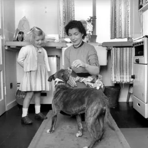 1950s Housewife: Housework: The role of the housewife in 1954 was to prepare