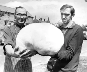 Core53 Prints: In 1973, Bellingham newsagent Frank Mattinson found a calvatia maxima - otherwise known