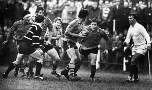 The 1981-82 Australia rugby union tour of Britain and Ireland