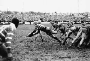 The 1981-82 Australia rugby union tour of Britain and Ireland