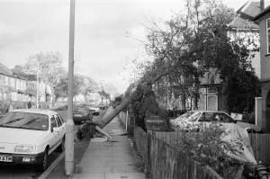 00423 Prints: The 1987 Great Storm occurred on the night of 15 ? 16th October 1987