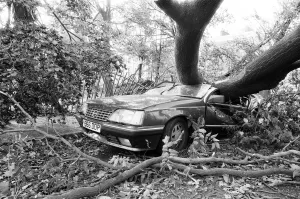 The 1987 Great Storm occurred on the night of 15 ? 16th October 1987
