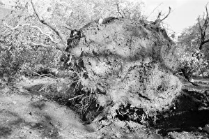 The 1987 Great Storm occurred on the night of 15 ? 16th October 1987