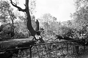 The 1987 Great Storm occurred on the night of 15 ? 16th October 1987