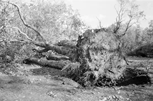 The 1987 Great Storm occurred on the night of 15 ? 16th October 1987