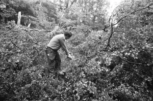 The 1987 Great Storm occurred on the night of 15?16th October 1987