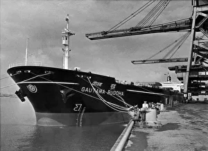 Cranes Prints: The 261 metre long Gautama Buddha the biggest ship in the Indian merchant fleet seen here