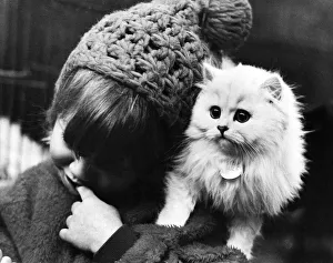 00057 Prints: 4 year old Darien Israel of London with Chinchilla female kitten