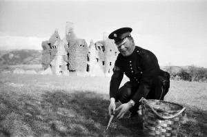 Ireland Prints: 43-year-old Colour Sergeant Joseph Cuddihy of the Irish Guards picks 1