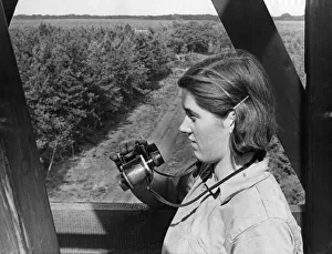 Defence Prints: From the top of a 55 foot fire watch tower In Rendlesham Forest near Woodbridge in East