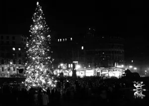 A 56 foot Christmas tree in Trafalgar Square given to Londoners by the people of Oslo