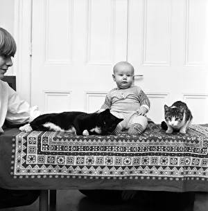 00032 Prints: 6 months old baby Misha with her two cats Noisy and Cecily Parsley at their home in