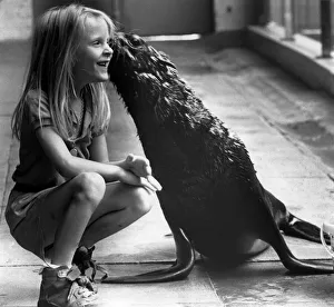 Knowsley Prints: 7 year old Nicky Wilson makes friends with Grumpy the sea lion at Knowsley Safari Park