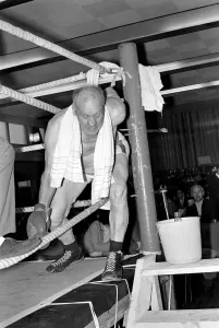 73 years old, and still boxing, Fred Oldham, a Shirley, Birmingham, pig farmer