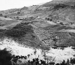 01449 Prints: 8th Army mule train in Trigno. A Trigno landscape mule trains are a prominent