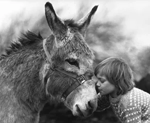Donkeys Prints: 9 year old Debbie Wright with Sunshine the Donkey who appeared in the TV show