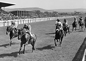 Horses Prints: Abercata, ridden by Richard Fox races home to win the Zetland Gold Cup at Redcar