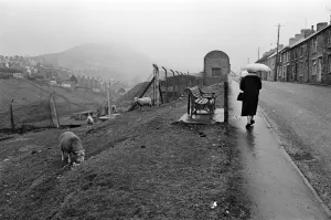 Abertillery, the largest town of the Ebbw Fach valley in what was the historic county of