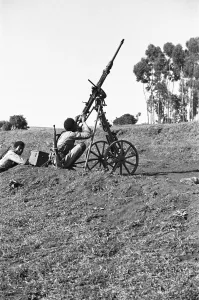 Abyssinian War September 1935 Abyssinian forces come under air attack on the Ogadan