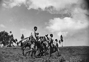01023 Prints: Abyssinian War September 1935 Abyssinian mobile gun team seen here on the move