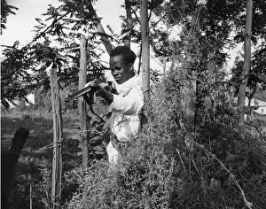 Abyssinian War September 1935 Abyssinian sniper seen here on the Ogadan Front