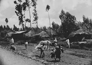 Rural Scene Prints: Abyssinian War September 1935 Houses close to the Royal Palace in Addis Ababa