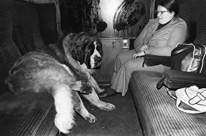 Accomodating a pooch the size of Oscar isn t always easy as his owner Pauline White