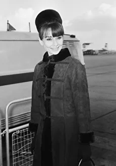 00279 Prints: Actress Audrey Hepburn arriving in London from Zurich for the Royal Charity Premiere of