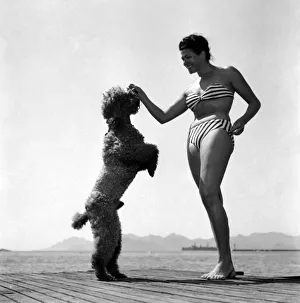 Cannes Prints: Actress Charlotte Laing seen here with her poodle dog. D3118-023