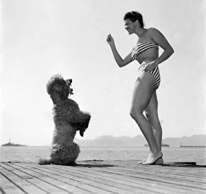 Actress Charlotte Laing seen here with her poodle dog. D3118-024