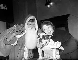 00169 Prints: Actress Dulcie Gray recieves a cheque from a bulldog watched by Major F N L Chapman