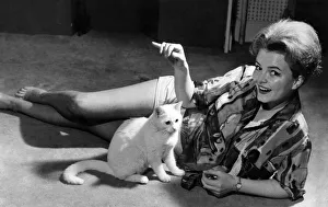 Actress Erica Rogers seen with her cat Piewacket at her Hampstead flat