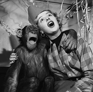 Actress Jill Adams attends a chimps Christmas party at London Zoo 20th December
