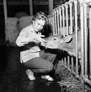 Livestock Prints: Actress Juliet Mills has been brought up on her fathers farm on the Kent / Sussex border