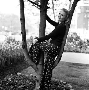 Actress Juliet Mills at the Inn on the Park to promote her new film Avanti!