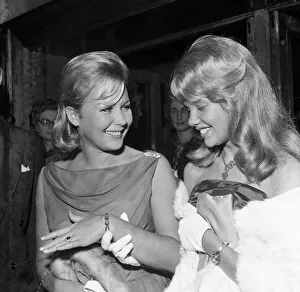 1961 Prints: Actress Juliet Mills showing her engagement ring to sister Hayley Mills. 10th August 1961