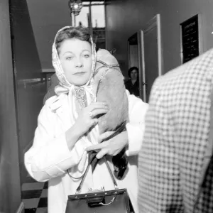 Scarves And Shawls Prints: Actress Vivien Leigh with her cat in London Cat on shoulder June 1960
