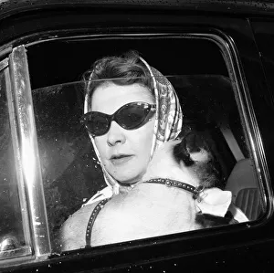00086 Prints: Actress Vivien Leigh inside a car in London holding a cat June 1960