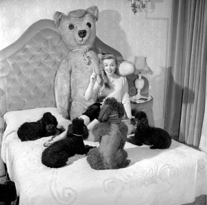 Actress Yana seen here with her pet poodles and a giant teddy bear. March 1959 A773