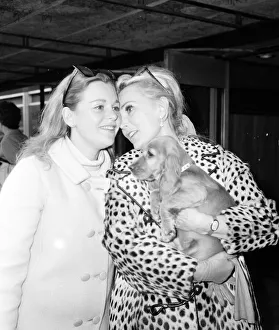 Hungarian Prints: Actress Zsa Zsa Gabor arrives at London Heathrow Airport from New York Friday 20th